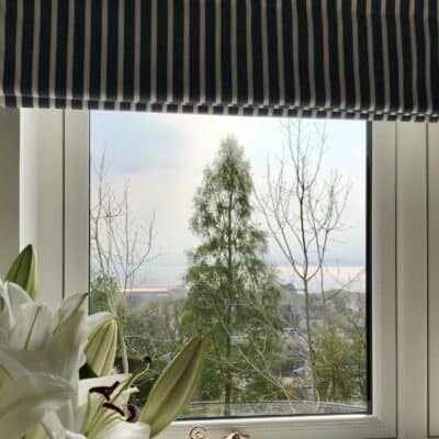 stylish windows