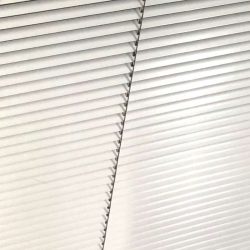 Blinds