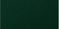 Dark Green Both Sides