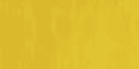 Rapeseed Yellow