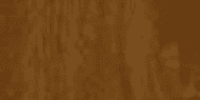 Renolit Golden Oak
